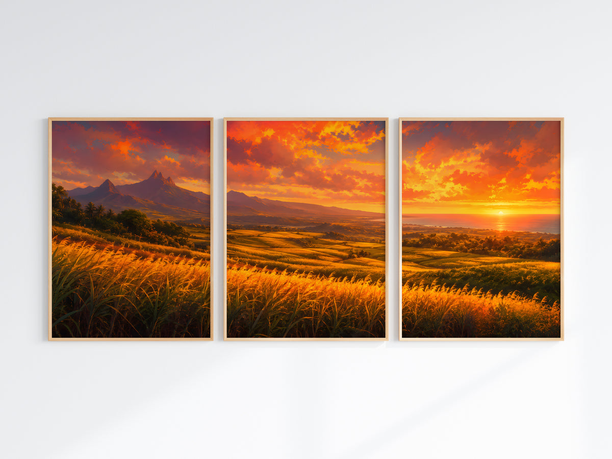 Close-up of Sugarcane Fields at Sunset panorama — golden sugarcane and warm amber sunset detail
